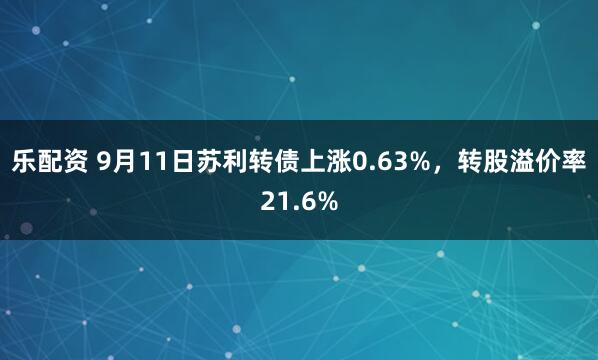 乐配资 9月11日苏利转债上涨0.63%，转股溢价率21.6%