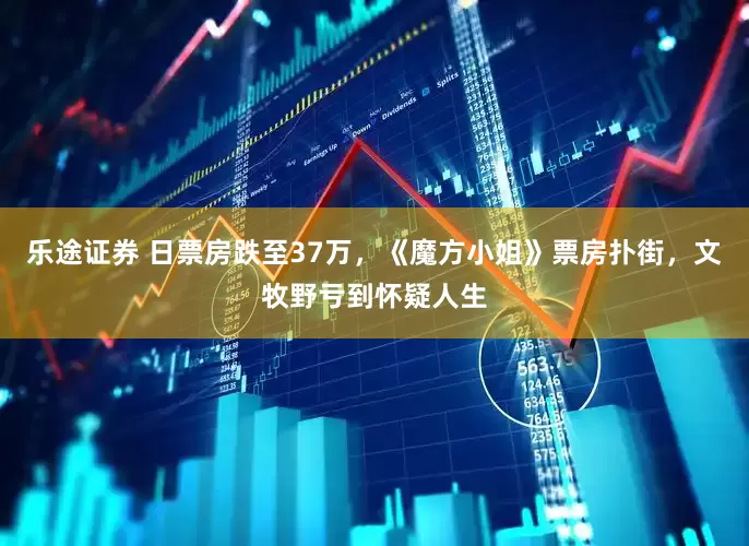 乐途证券 日票房跌至37万，《魔方小姐》票房扑街，文牧野亏到怀疑人生